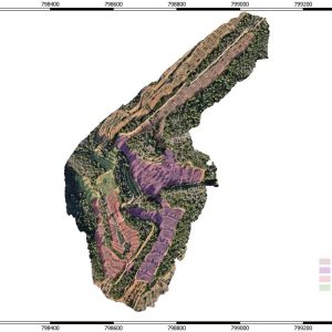 Proyecto IBER-Forest Bank (Tarragona) rodales