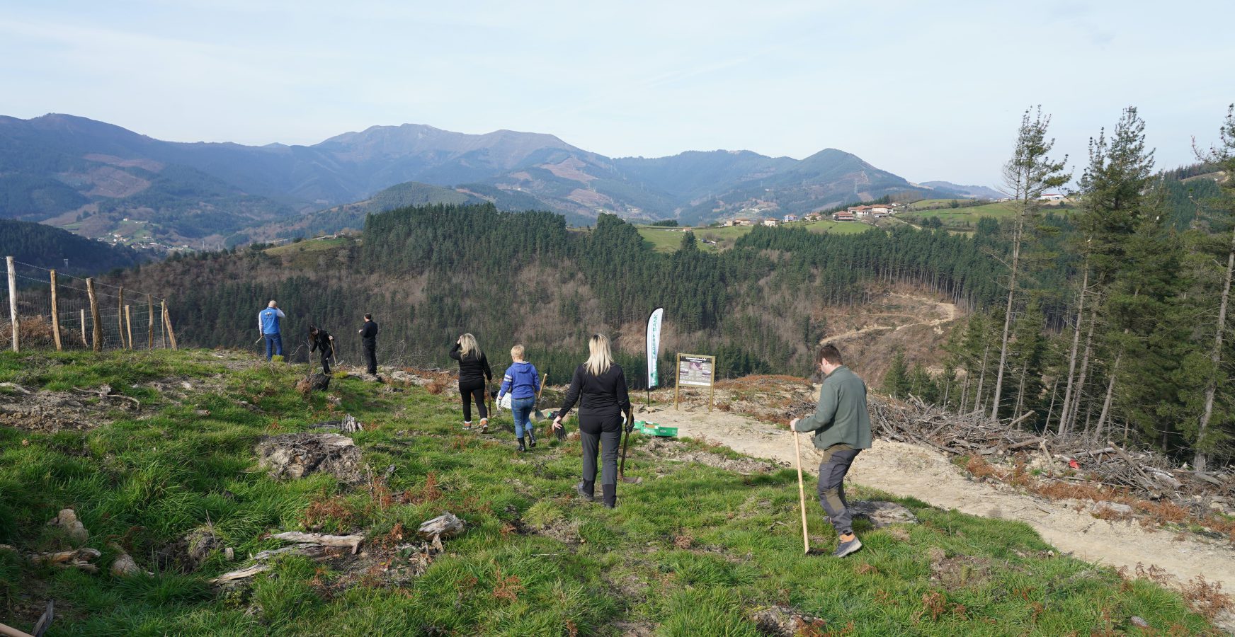 Proyecto de absorción en el monte Zeberio