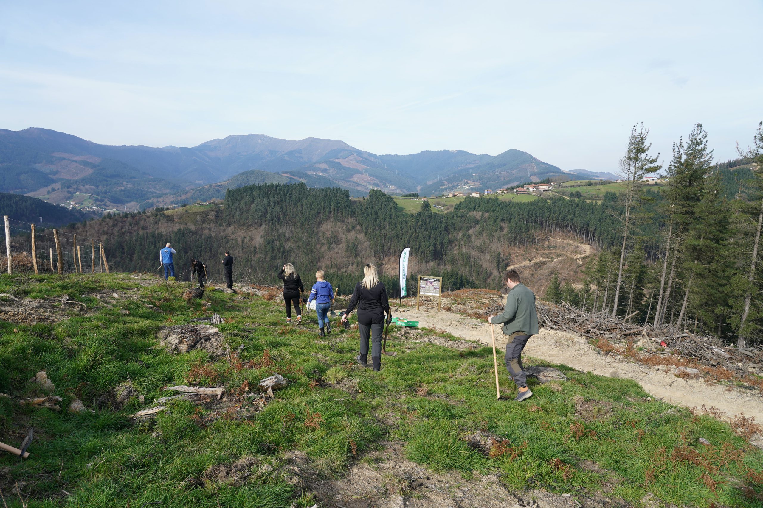 Proyecto de absorción en el monte Zeberio