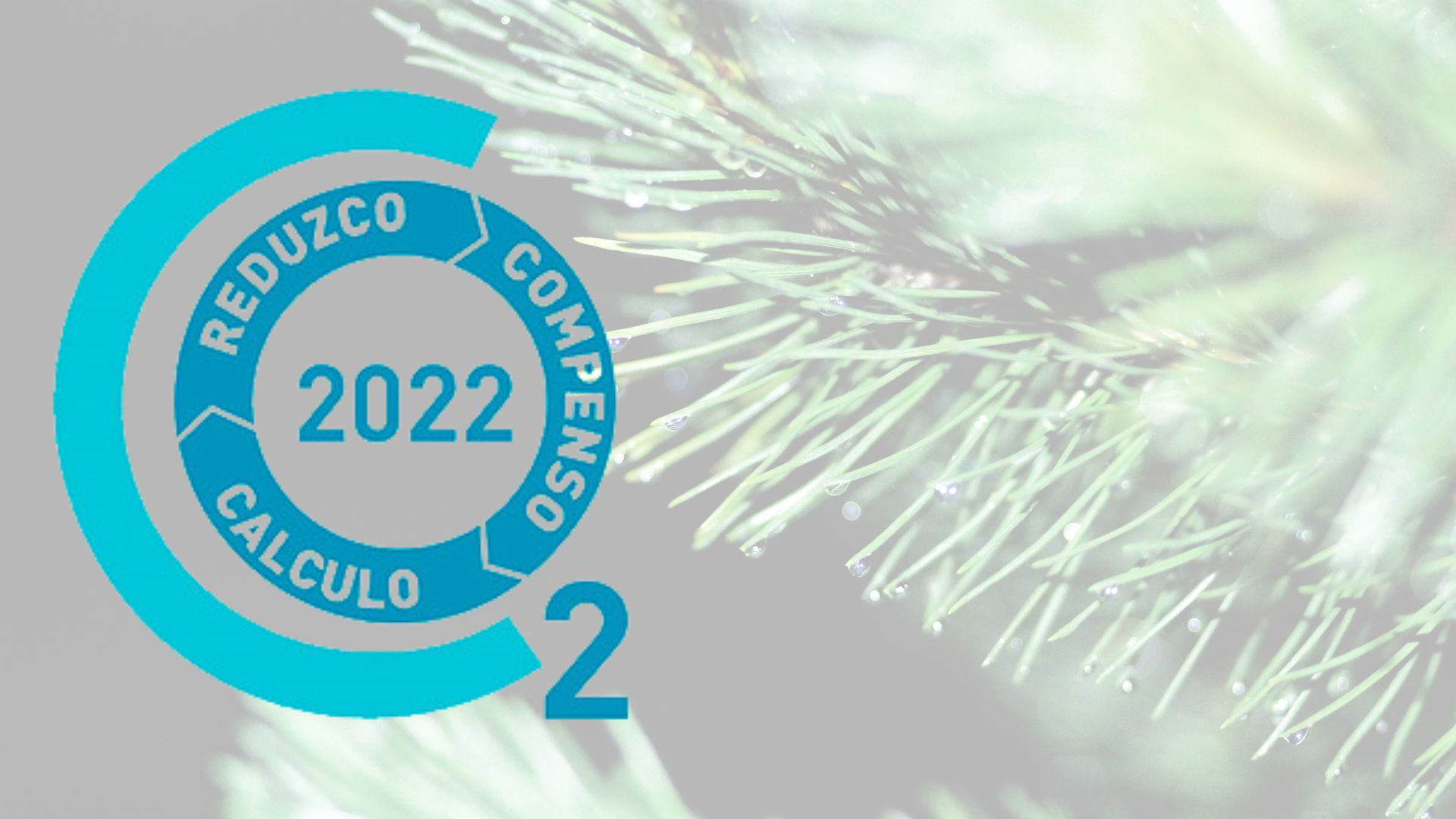 Miteco Certificados MITECO de huella de carbono, ¿qué significan?