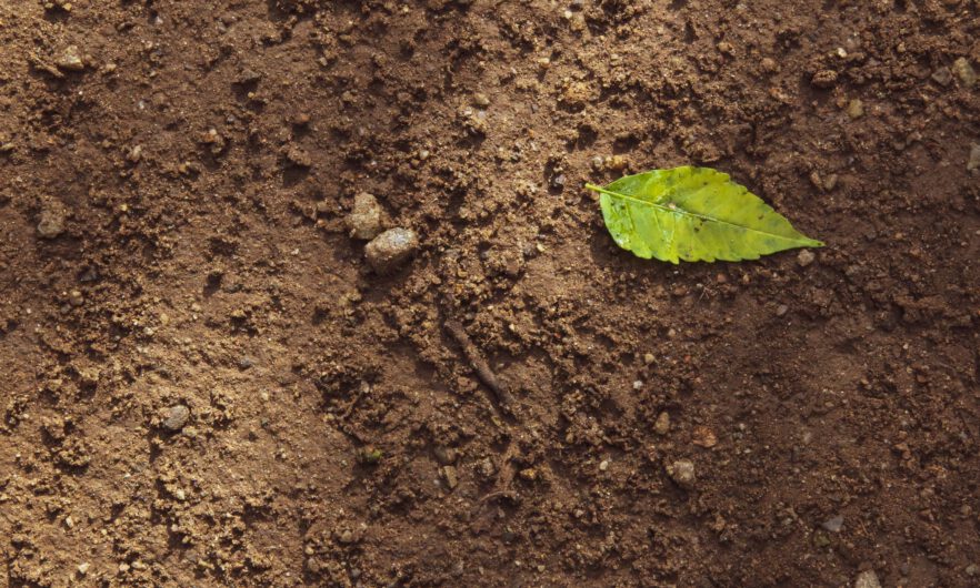 Ley de Monitorización del Suelo aprobada