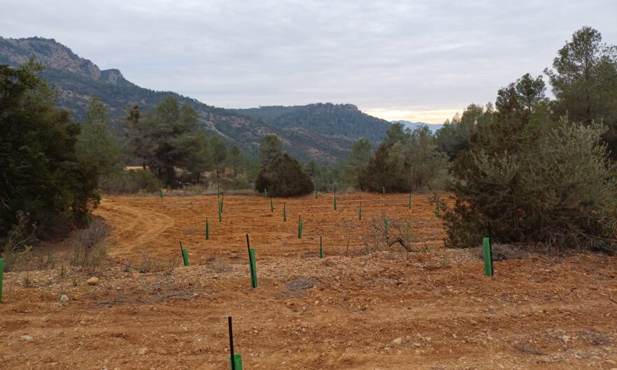 calculadora carbono MITERD