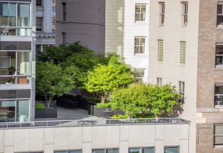 forest bank sostenibilidad de empresa